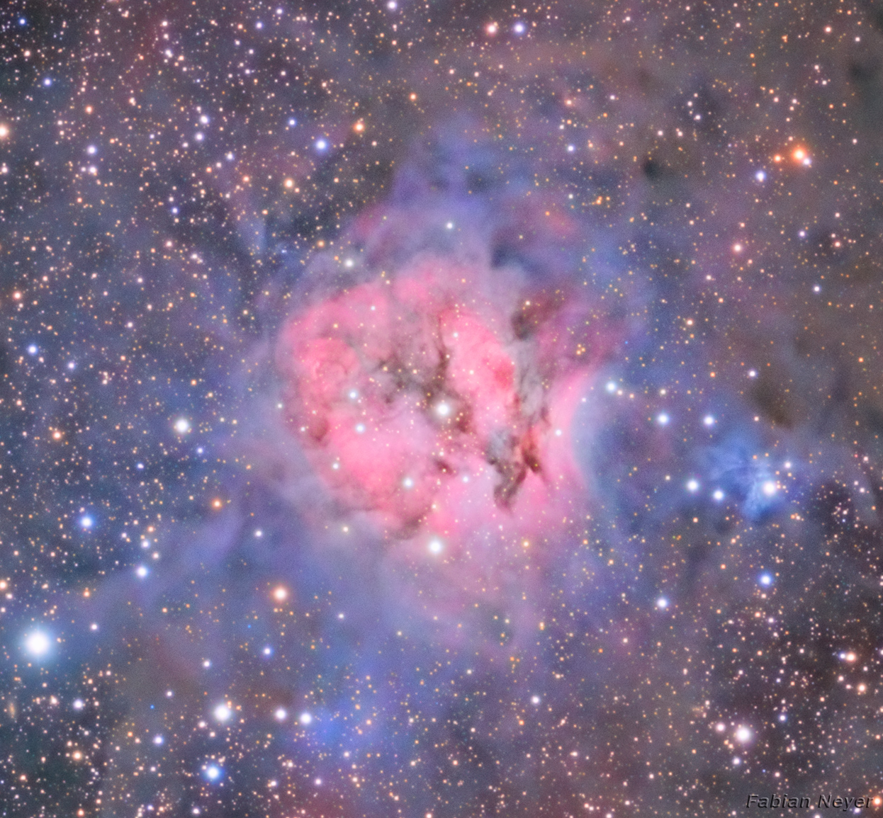 Cocoon Nebula Panorama Center