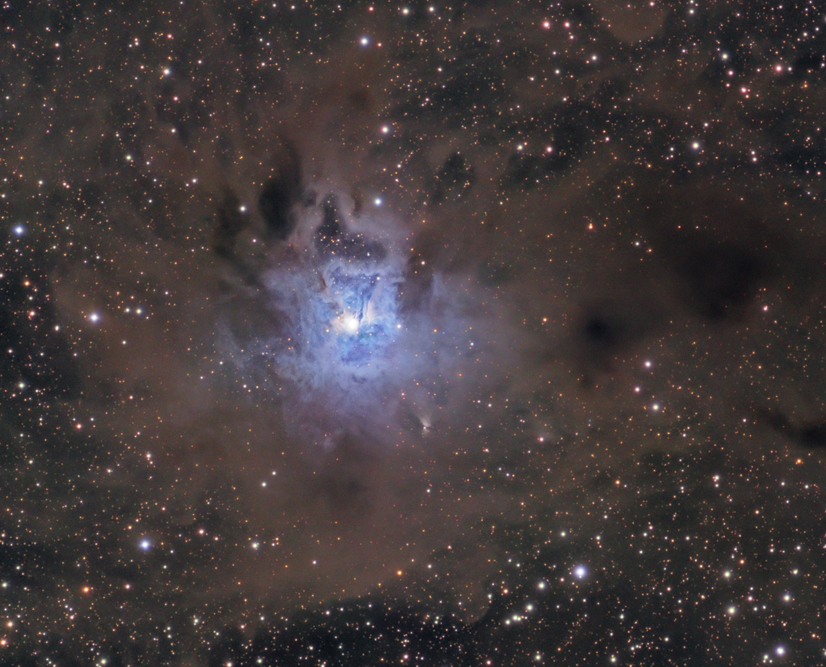 Iris Nebula