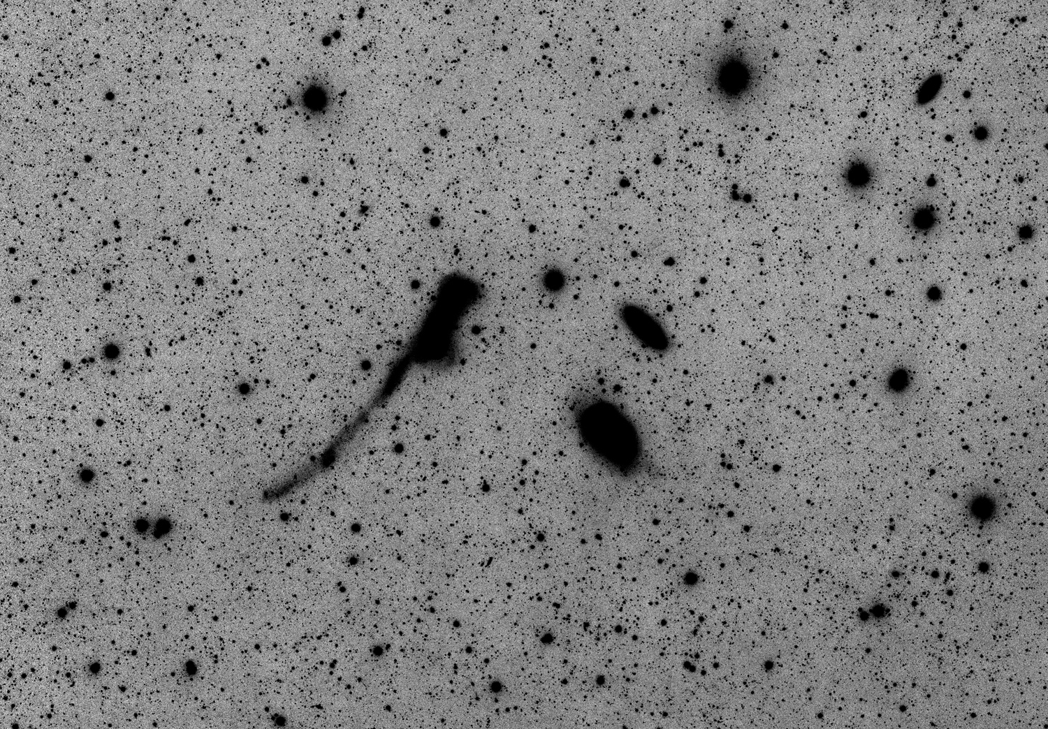 Leo Trio -  tidal trail