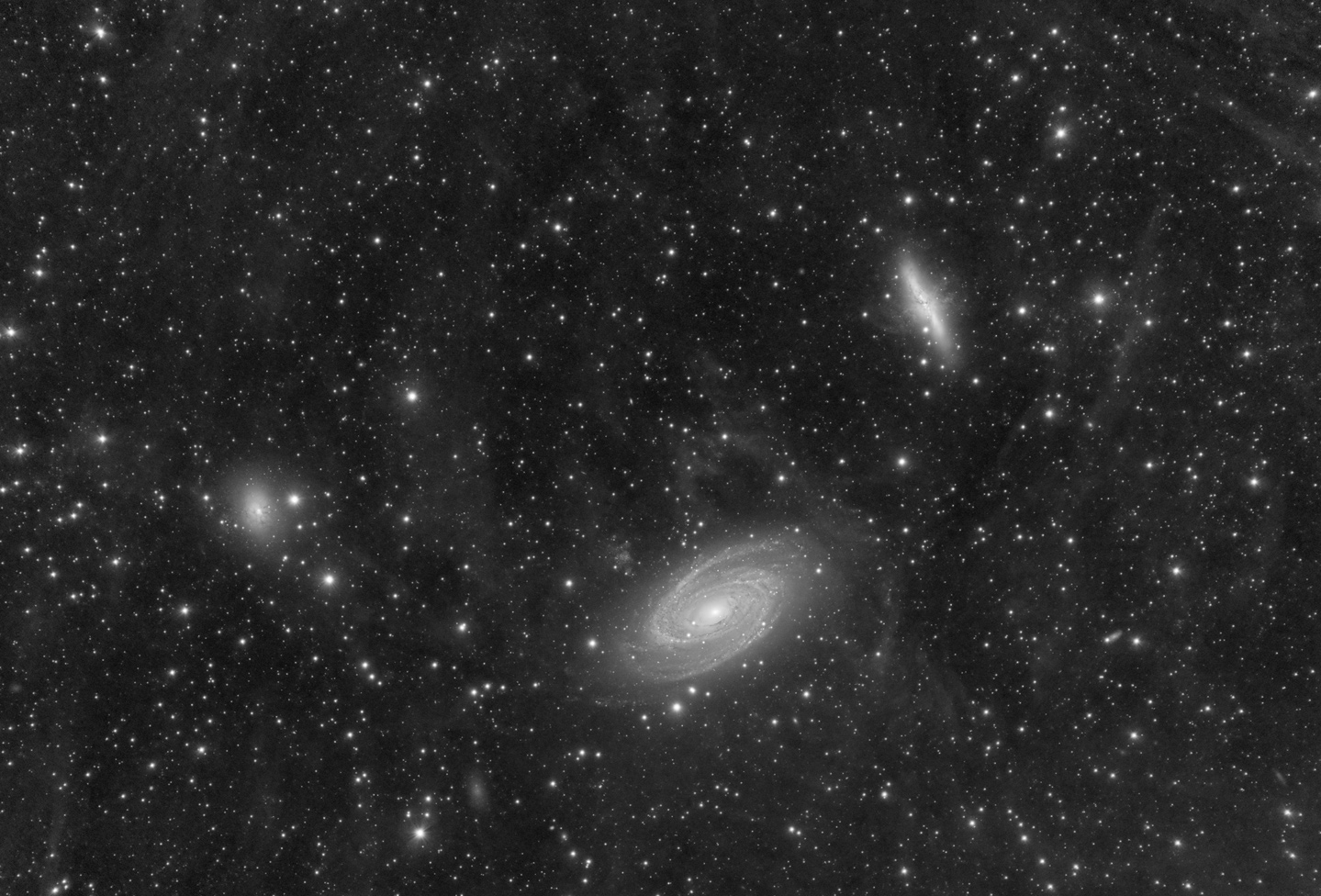 m81 group