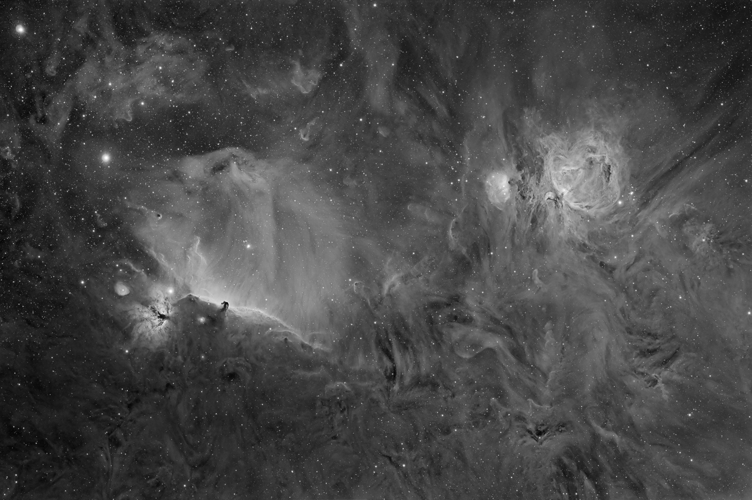 Orion Area in Halpha