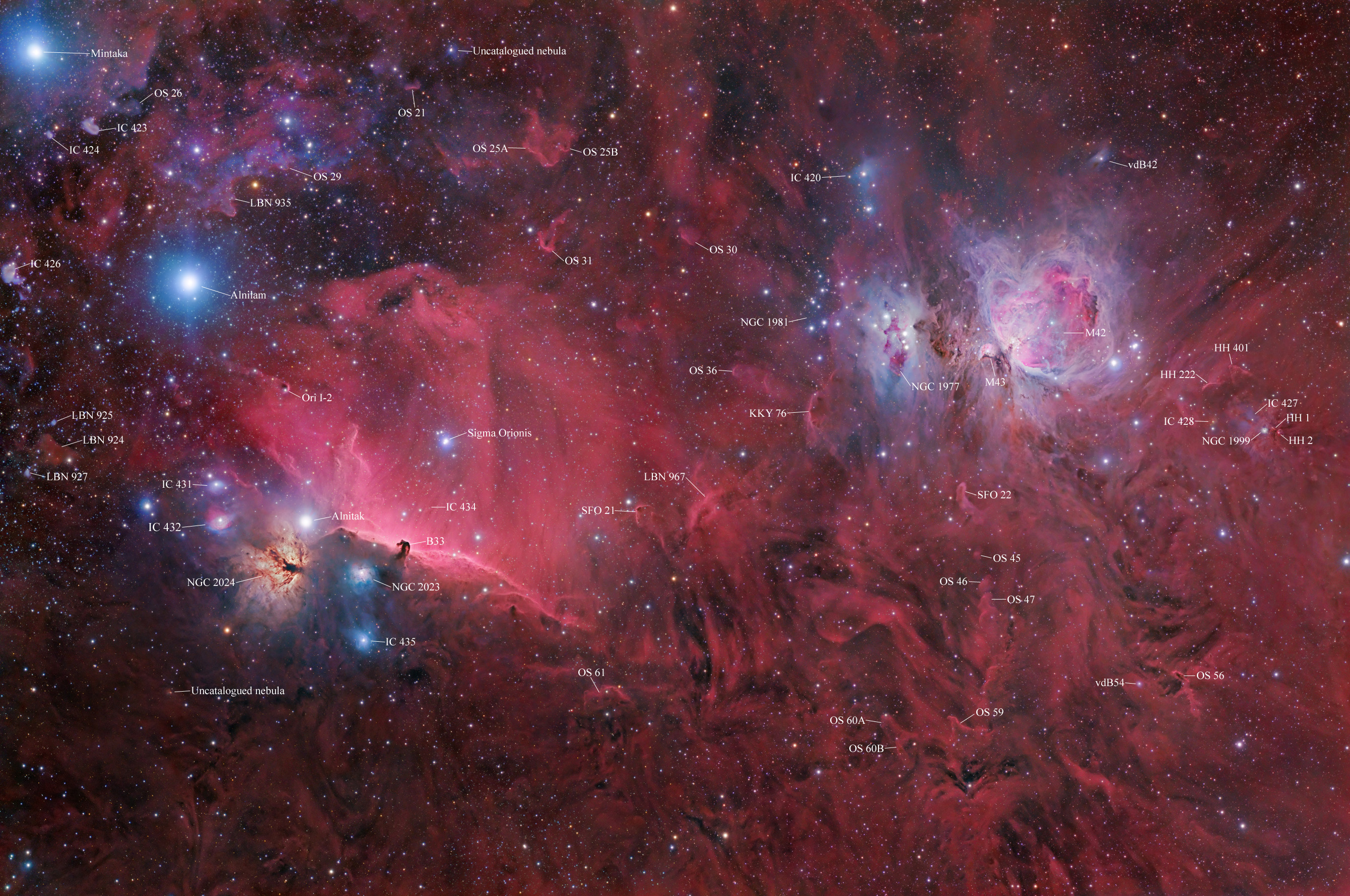 Orion Area in labeled