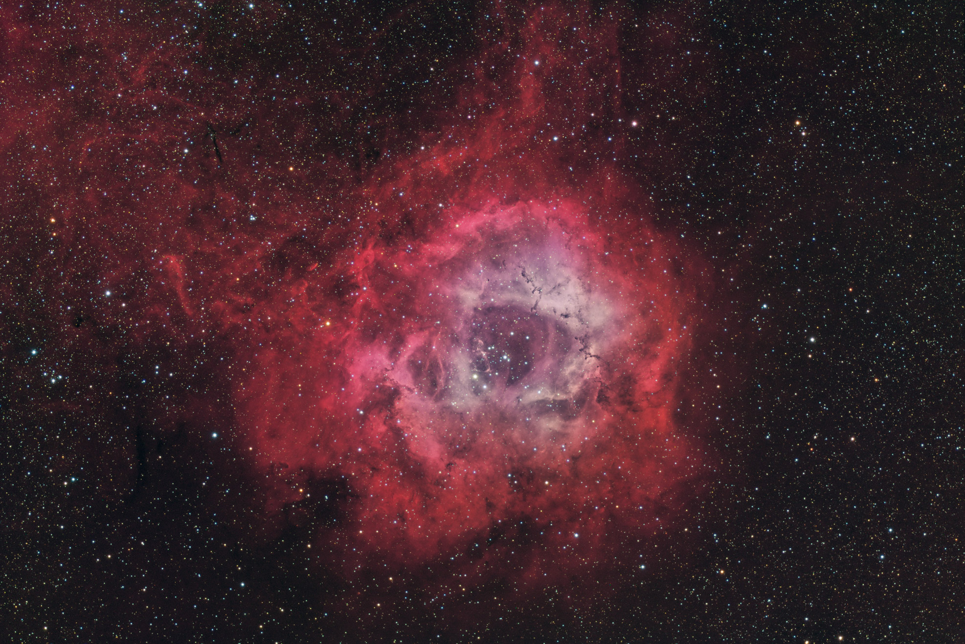 rosetta nebula
