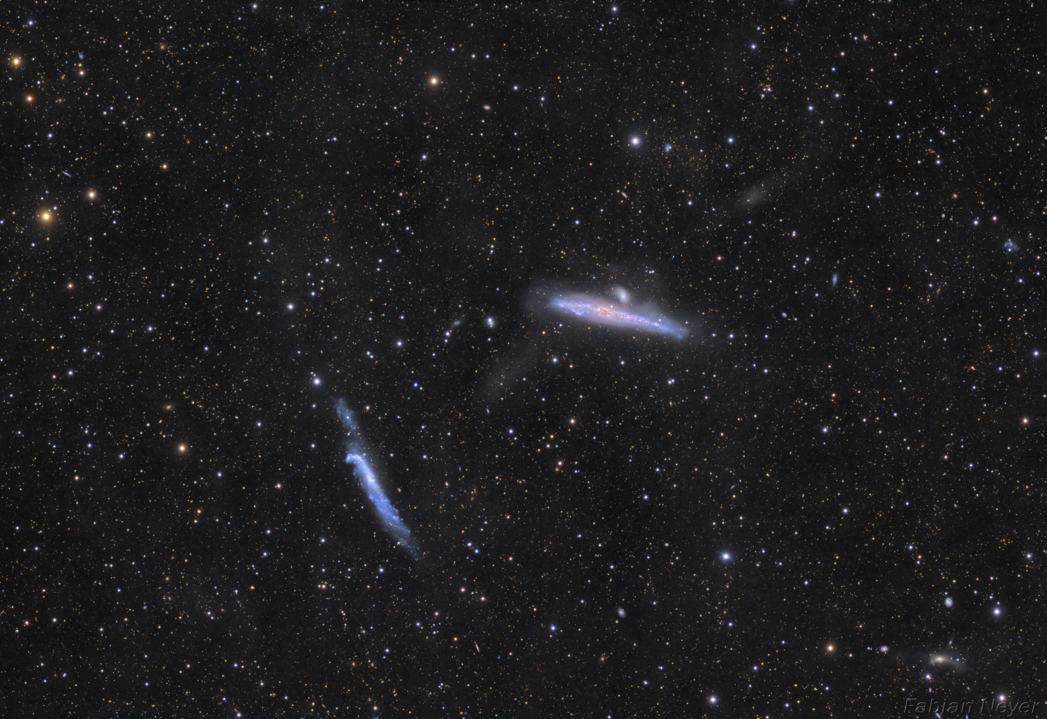 Whale Galaxies
