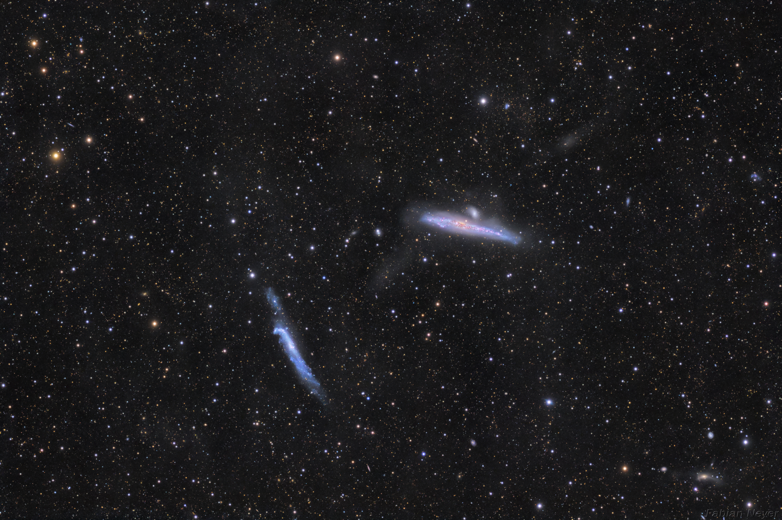 Whale Galaxies