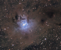 Iris Nebula