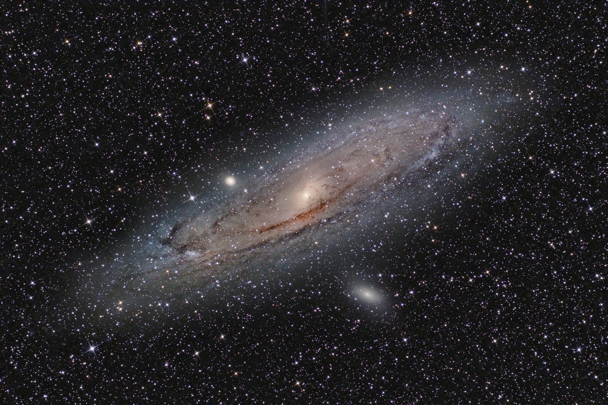 M31