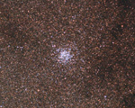m11 crop