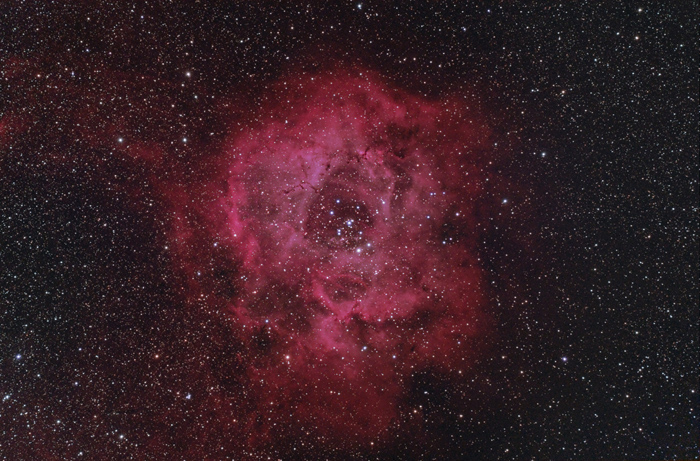 Rosetta Nebula