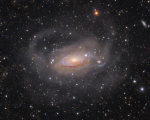 Sunflower Galaxy