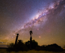 Palms and Milkyway